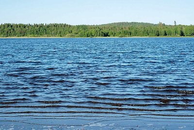 2 Personen Ferienhaus in NÄSSJÖ