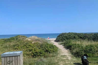 6 Personen Ferienhaus in Gedser-By Traum