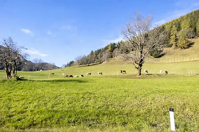 Zentral gelegenes Apartment in Bad...