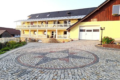 Groot appartement in Saksen met trampoline