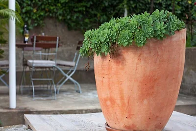 Apartments Maro & Baro - One bedroom apartmen...