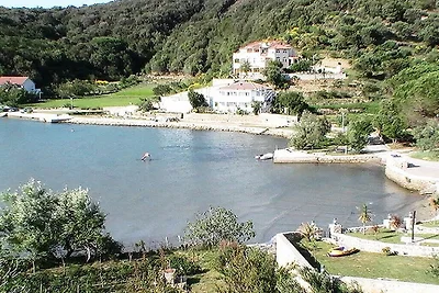 Ferienhaus in Rab mit Schwimmbecken