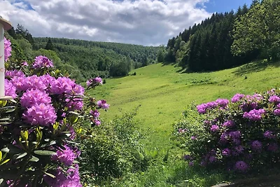 Übernachten Sie in der Nähe des...