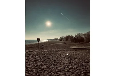 Il sogno di Michael sull'Elba