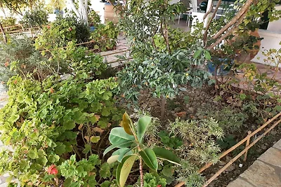 Appartement met zeezicht en balkon/terras