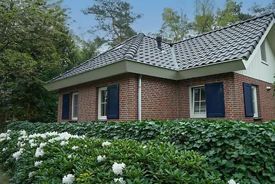 Villa in Beekbergen mit Terrasse