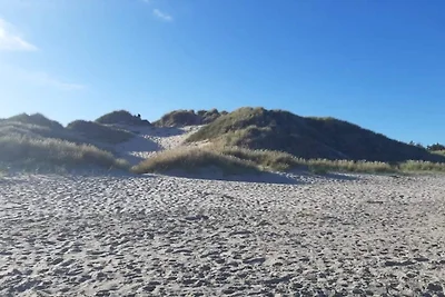 4 Sterne Ferienhaus in Ålbæk