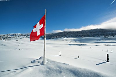 Freistehendes Chalet in Fiesch-Wiler mit...