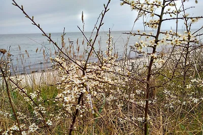 Ruhiger Strandurlaub - Von Traum