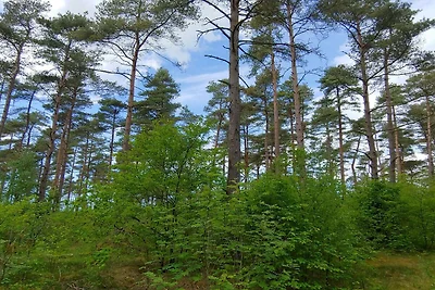 4 persone case ad Oksbøl-By Traum