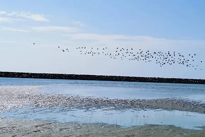 4 persone case ad Ebeltoft-By Traum