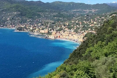 Clifftop Apartment Confortevole residenza per...