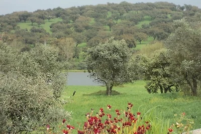 Agriturismo a Montemor-o-Novo con piscina