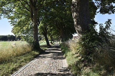 Appartement bij Kühlungsborn met tuin