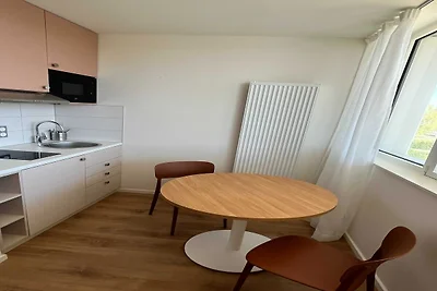 Vakantieappartement Gezinsvakantie Mulhouse