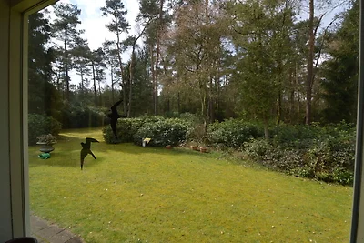 Casa vacanze a Huijbergen con giardino