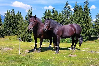 Vacaciones en una granja ecológica cerca de l...