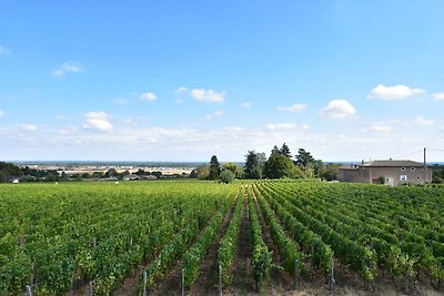 19 de-eeuwse Bourgondische wijnboerderij met ...