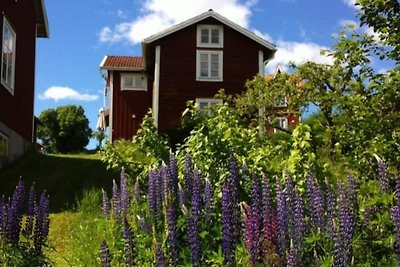 6 Personen Ferienhaus in SILJANSNÄS