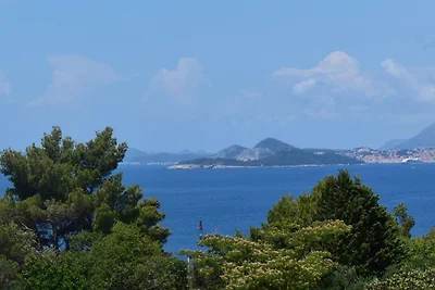 Apartment Viva - Three Bedroom Apartment with...