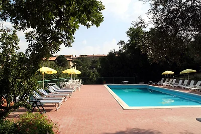 Ferienhaus in Paciano mit Schwimmbad