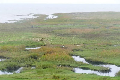 4 Sterne Ferienhaus in Rømø-By Traum