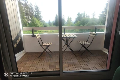 Les marmottes N°112 - ST5