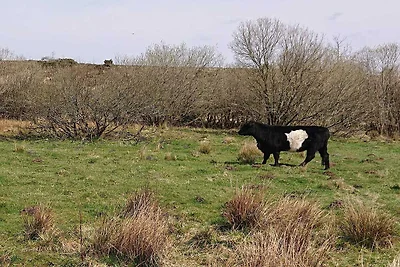 4 Sterne Ferienhaus in Hovborg-By Traum