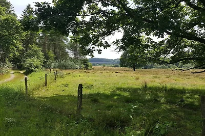 6 persone case ad Silkeborg-By Traum