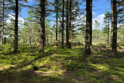 5 Personen Ferienhaus in Snedsted