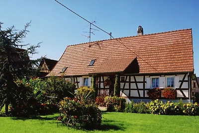 Gezellig vakantiehuis in Schleithal met tuin