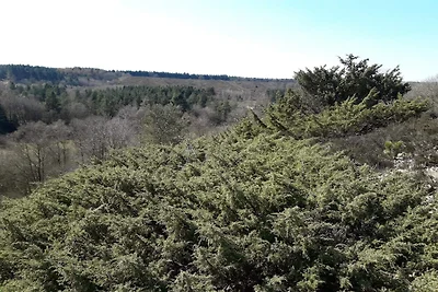 Luminosa Oasi Cottage a Silkeborg-By Traum