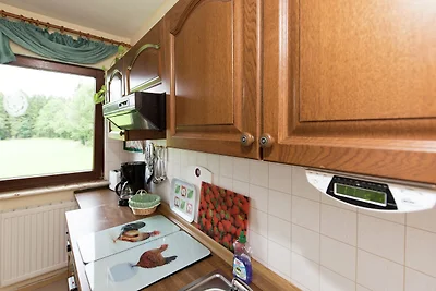 Gemütliches Apartment in Werda mit Garten