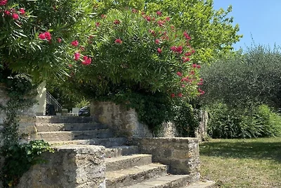 Huisje in de Provence