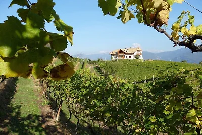 Chardonnay -  Santlhof