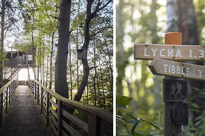 3 Persone case ad LEKSAND