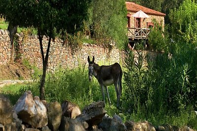 Casa in pietra sul fiume Zoya con vista sulla