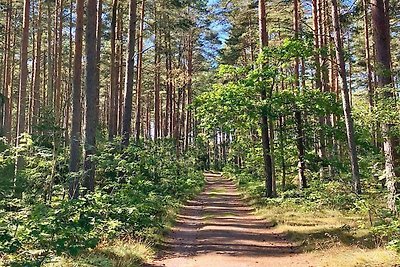 6 Personen Ferienhaus in ROCKNEBY