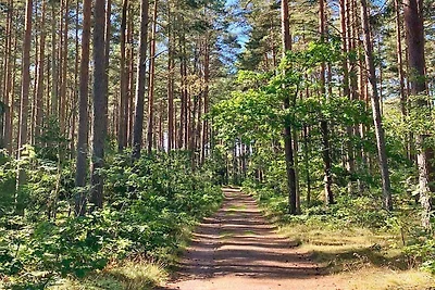 6 Personen Ferienhaus in ROCKNEBY-By Traum