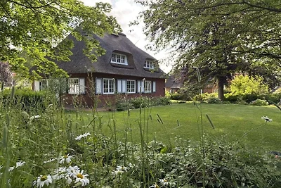 Ferienhaus Seehöft