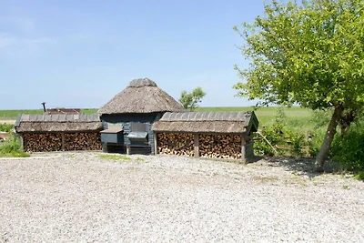 Wohnung in Schagen in Strandnähe