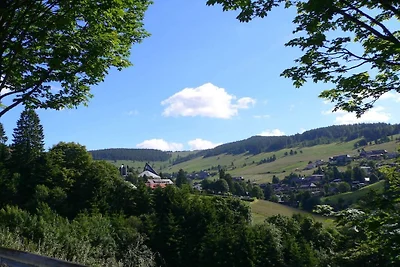 Basseltang Hus - S'Denn