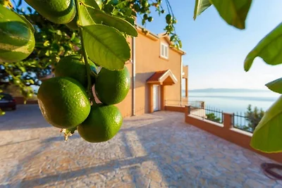 Summerheaven Apartments - Standard Studio Apa...