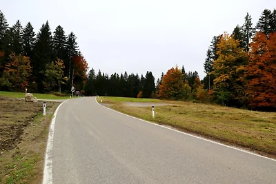Hundefreundliche Ferienwohnung im...
