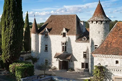 Autentico castello vicino ad Agen con sauna
