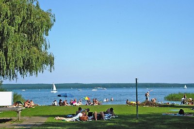 Doppelhaushälfte, Plau am See-ehem. TUI