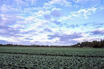 Ferienhaus Erholungsurlaub Veere