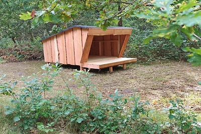 4 Sterne Ferienhaus in