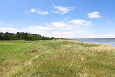 6 persone case ad Hadsund