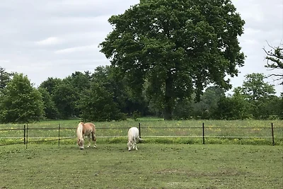 Ferienhaus Klein Rosselaer f�r vier Personen
